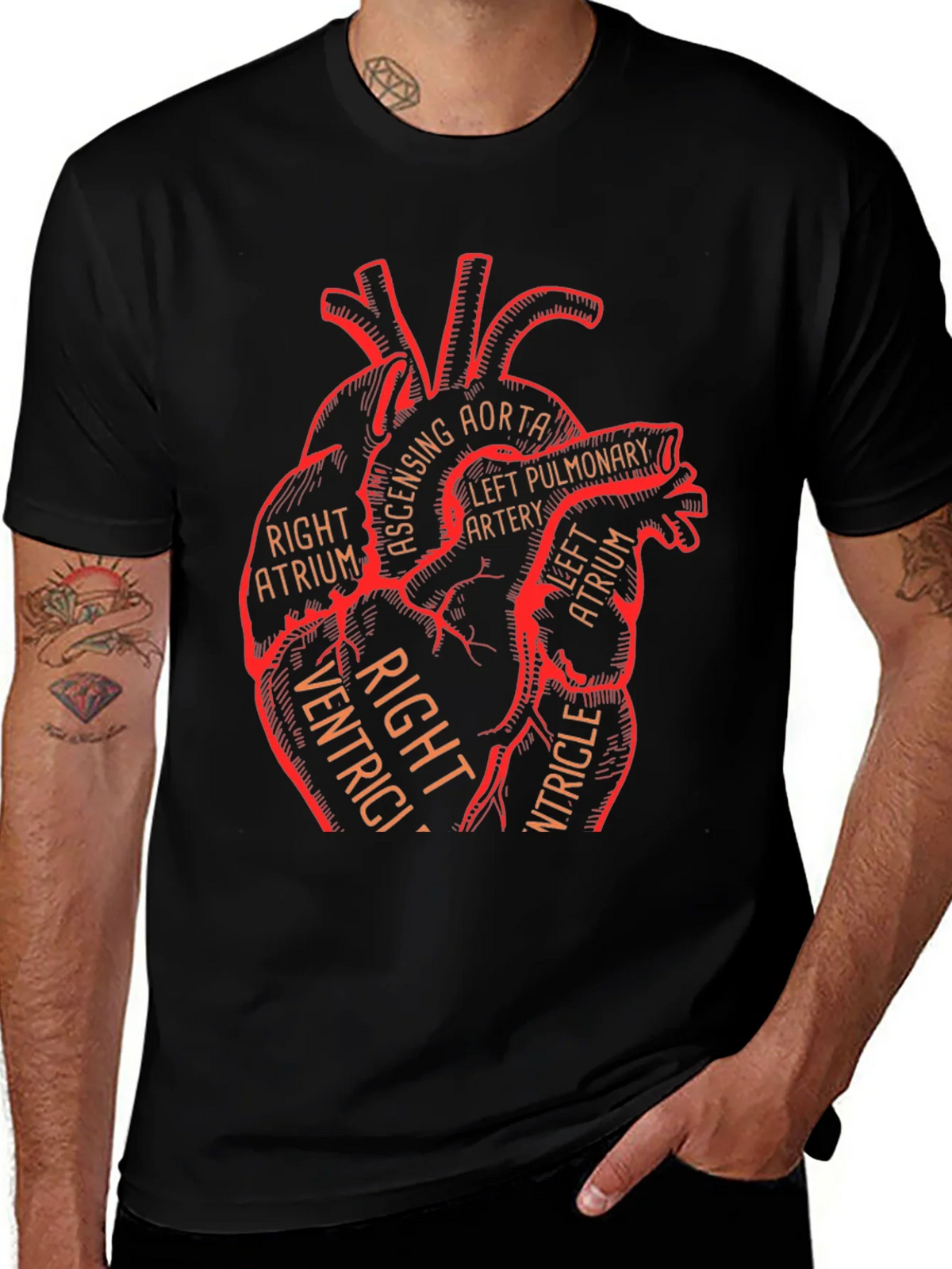 Anatomical Heart Graphic Tee - Medical Science T-Shirt product image 1