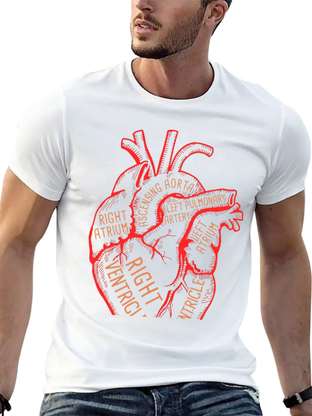 Anatomical Heart Graphic Tee - Medical Science T-Shirt product image 12