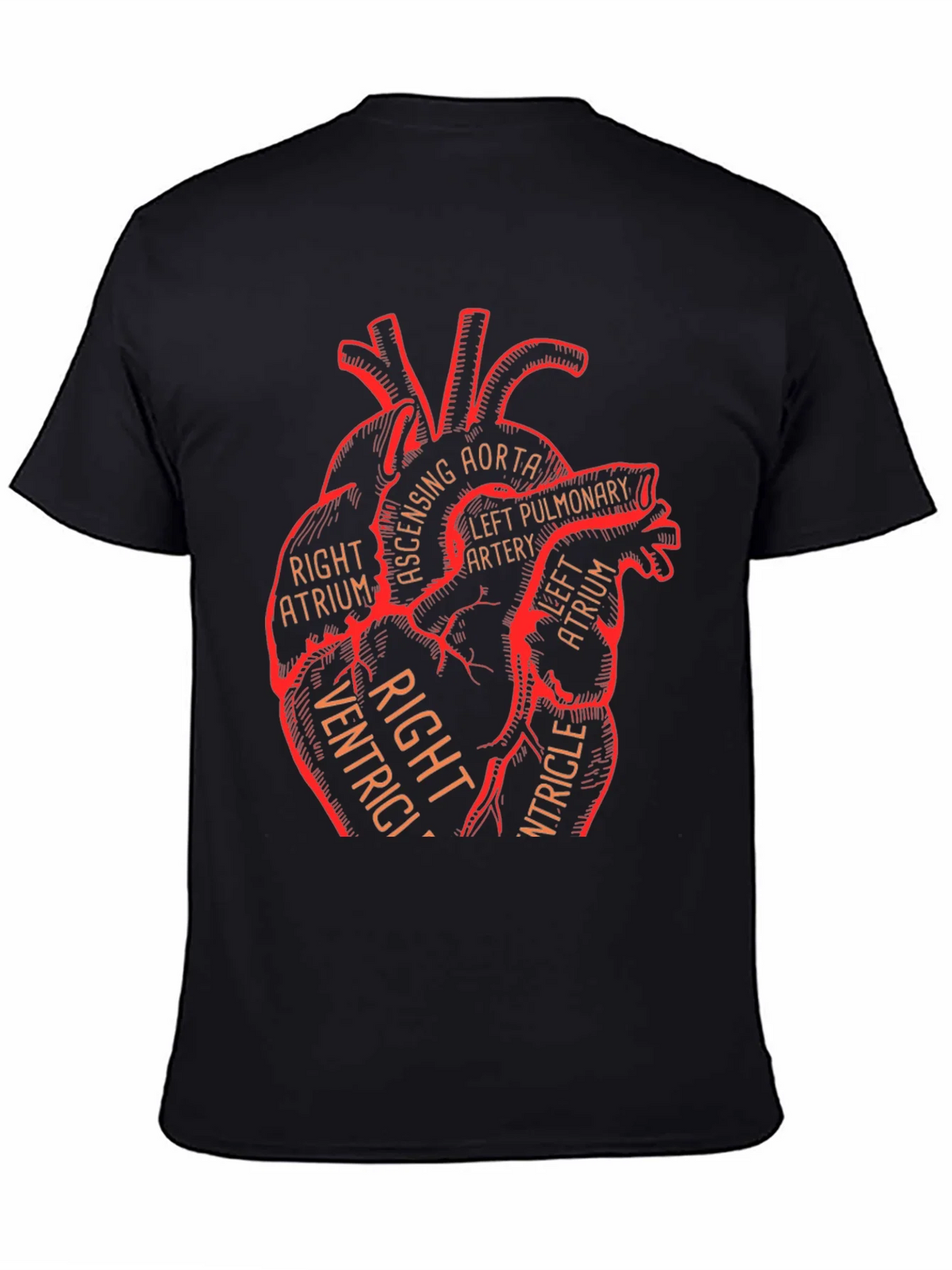 Anatomical Heart Graphic Tee - Medical Science T-Shirt product image 4