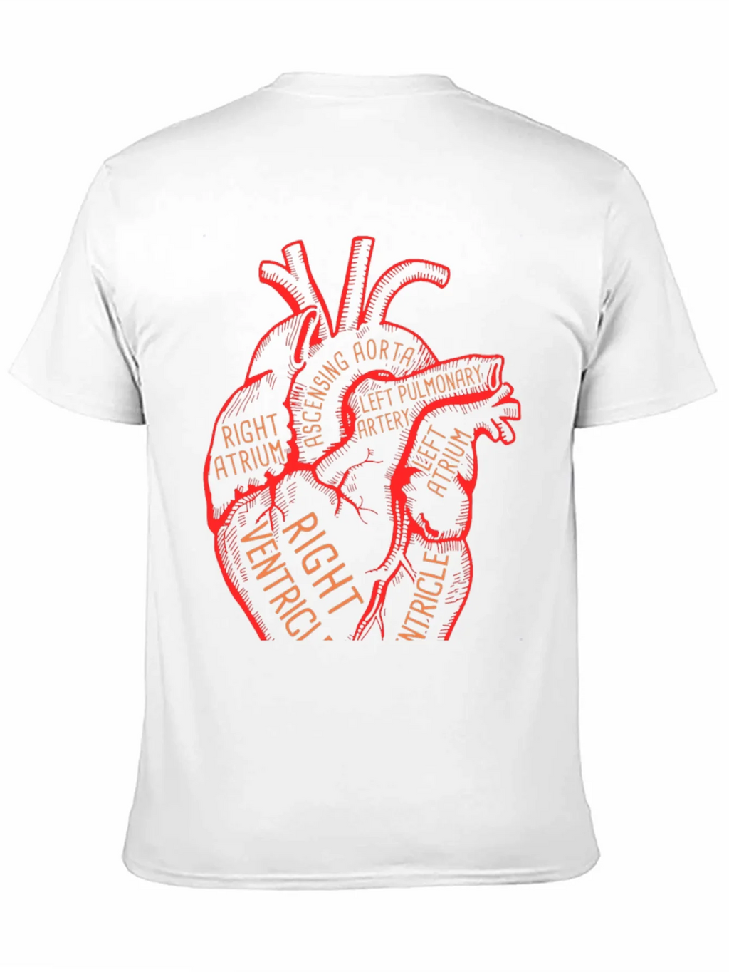 Anatomical Heart Graphic Tee - Medical Science T-Shirt product image 10