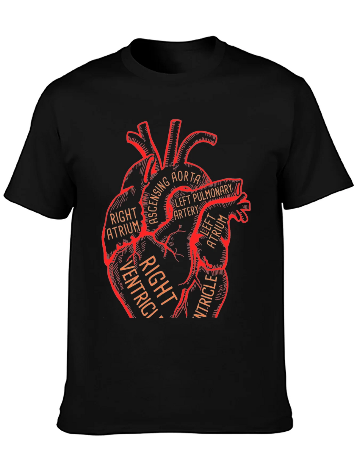 Anatomical Heart Graphic Tee - Medical Science T-Shirt product image 3