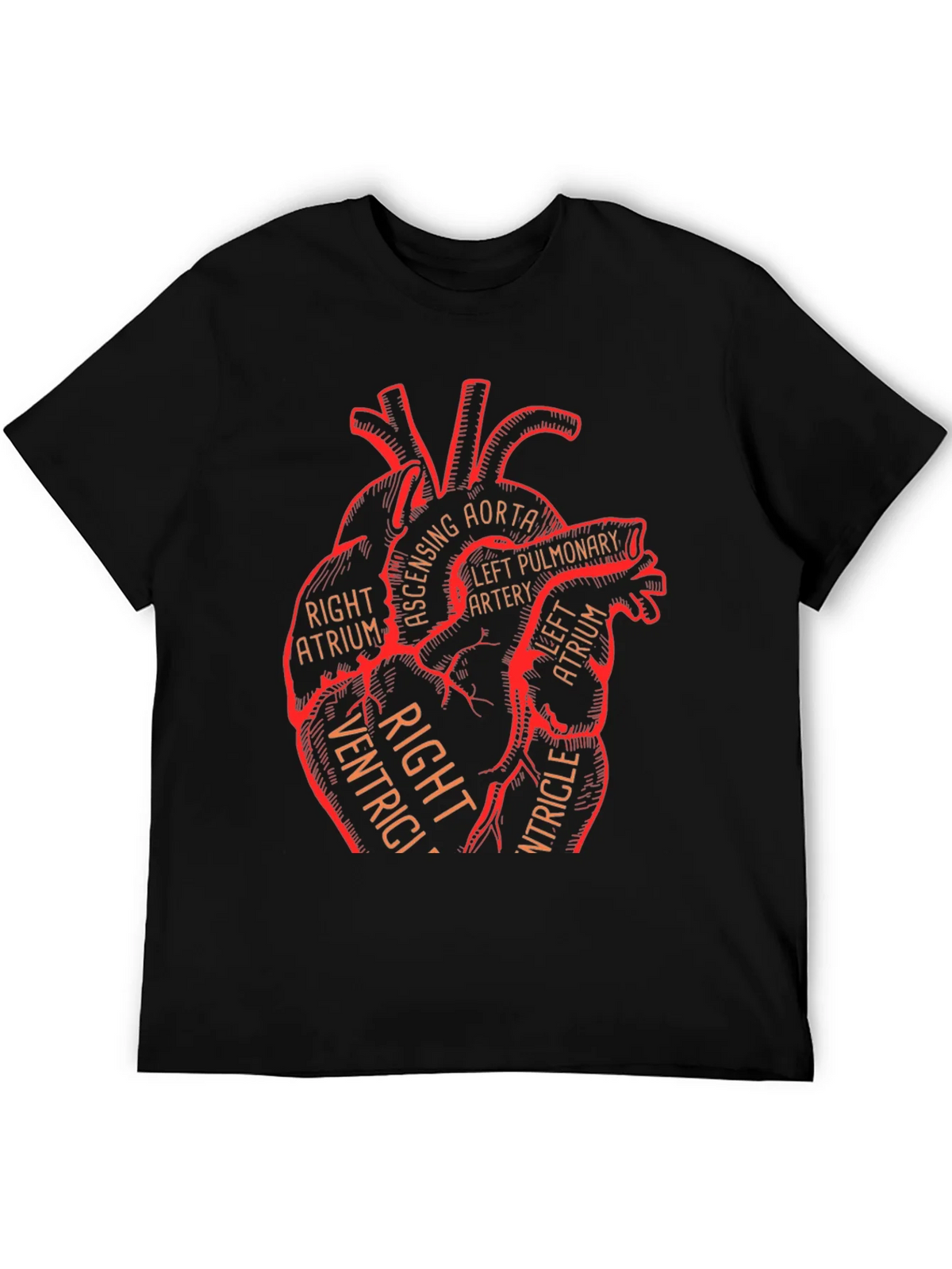 Anatomical Heart Graphic Tee - Medical Science T-Shirt product image 5