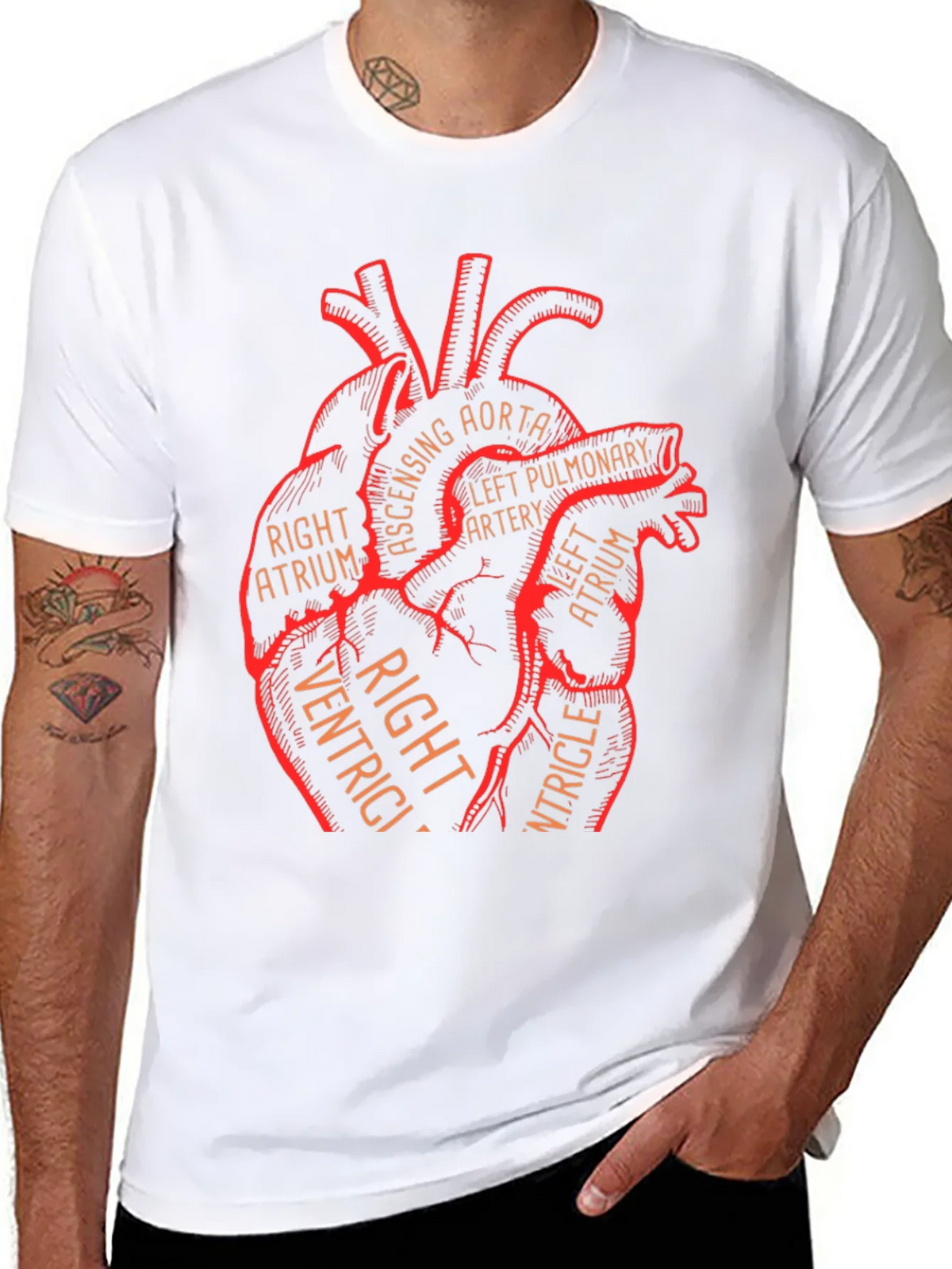 Anatomical Heart Graphic Tee - Medical Science T-Shirt product image 7