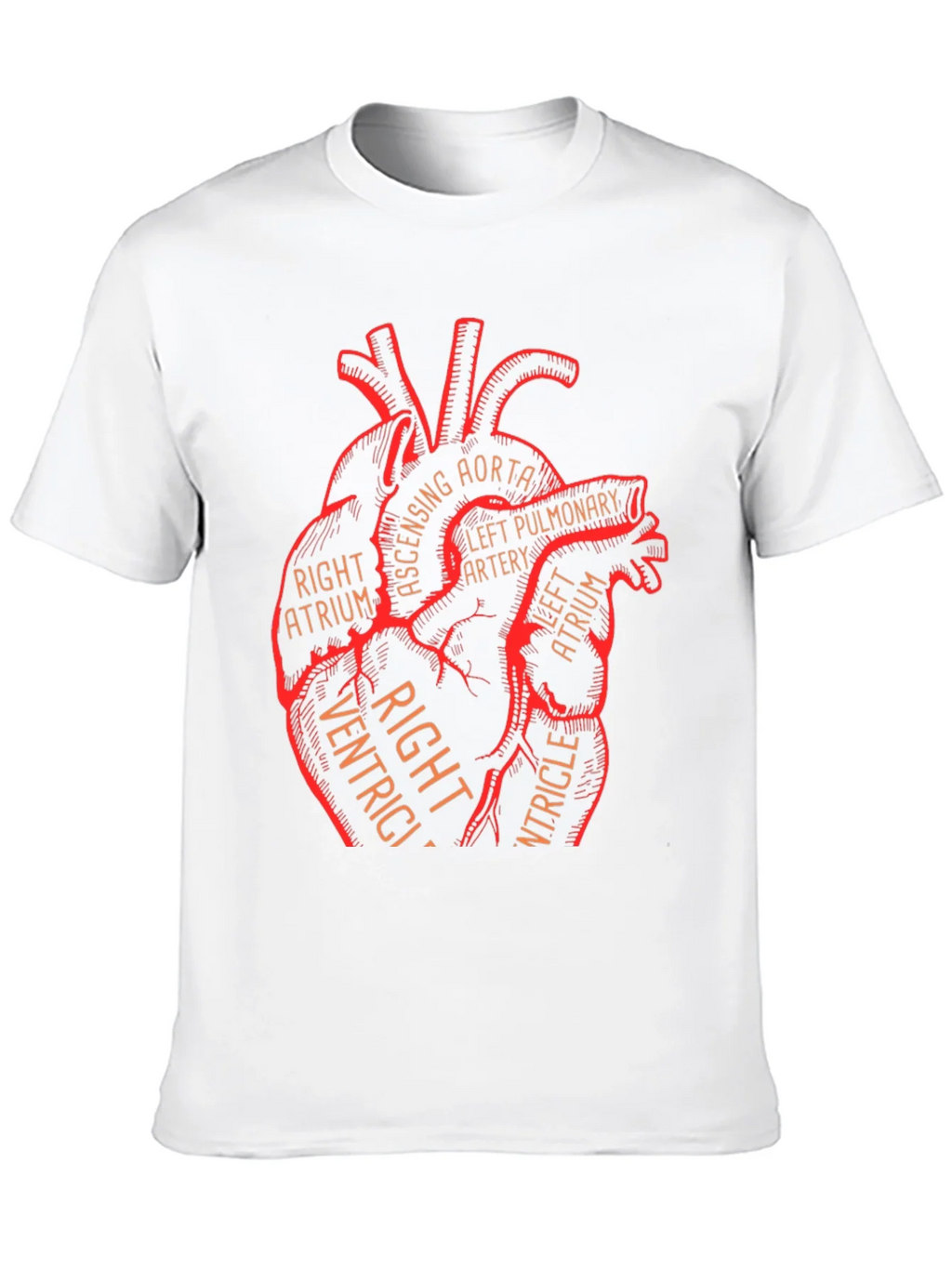Anatomical Heart Graphic Tee - Medical Science T-Shirt product image 9