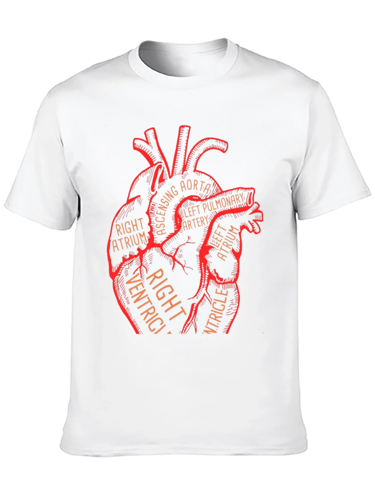 Anatomical Heart Graphic Tee - Medical Science T-Shirt product image 9