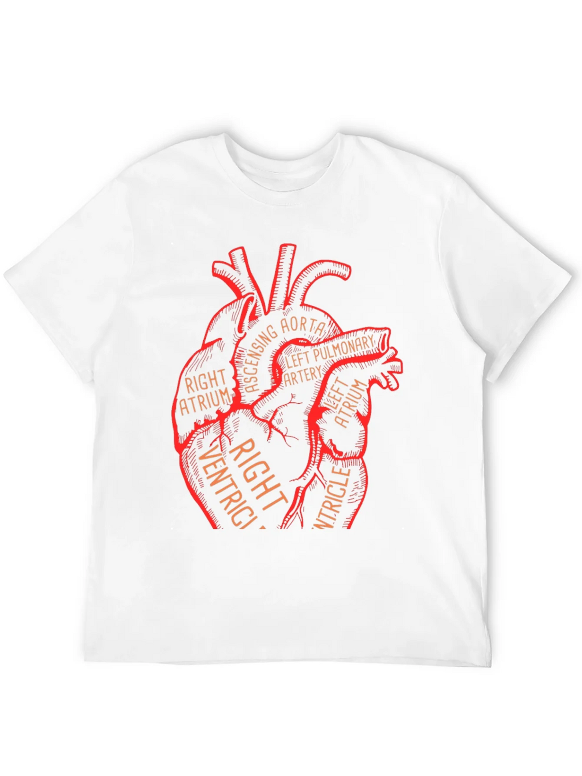 Anatomical Heart Graphic Tee - Medical Science T-Shirt product image 11
