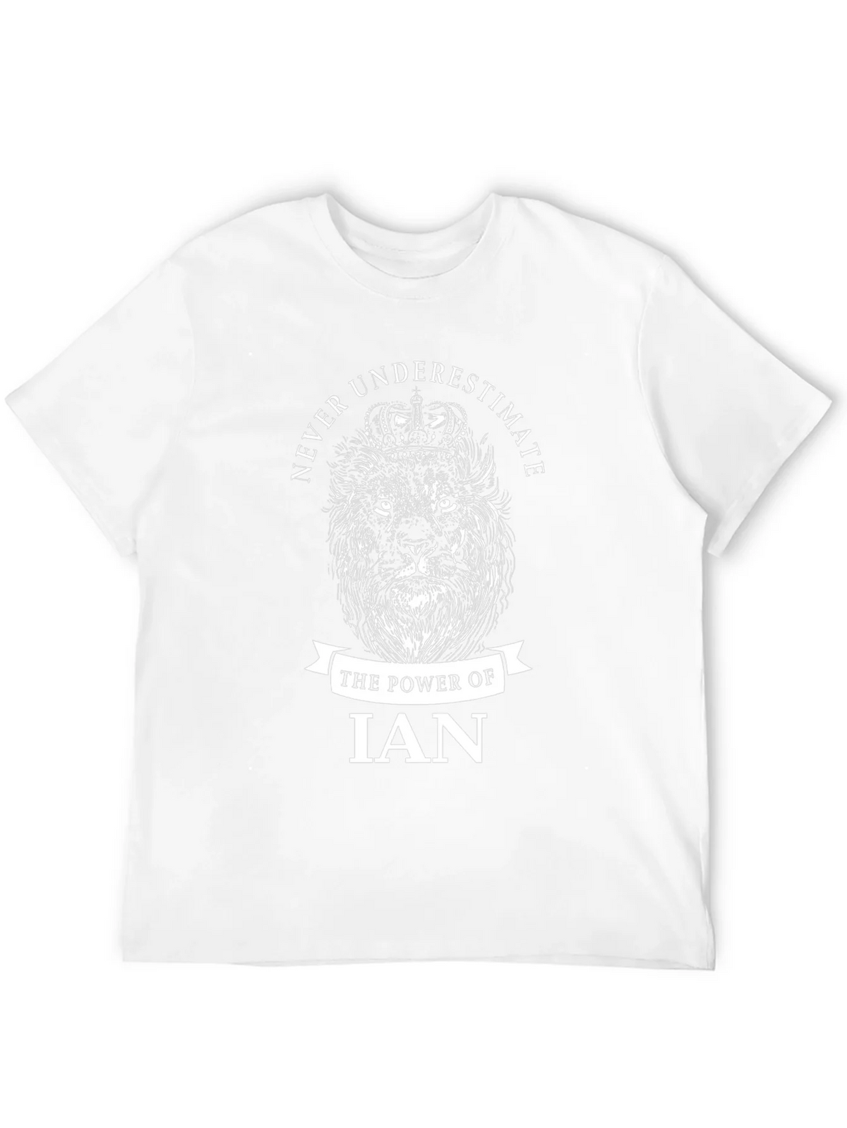 Never Underestimate The Power Of Ian Lion T-Shirt product image 2