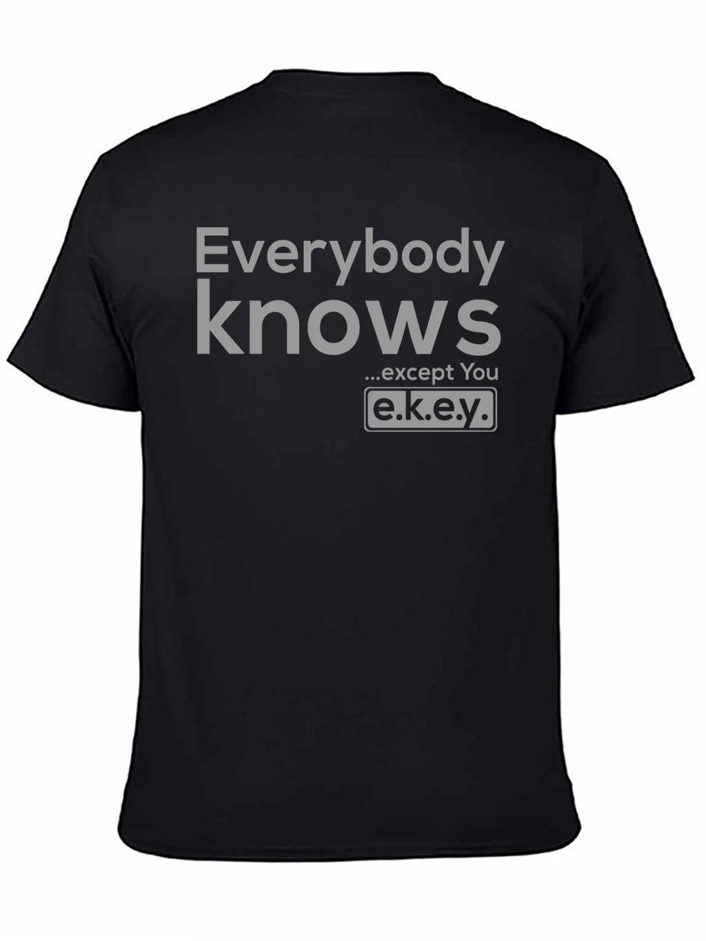 Everybody Knows T-Shirt - Except You - Novelty Graphic Tee product image 4