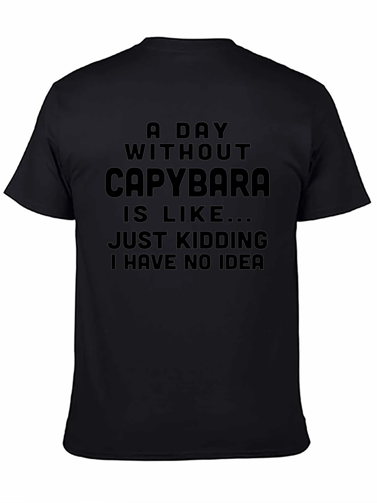 Funny Capybara T-Shirt - No Idea product image 4