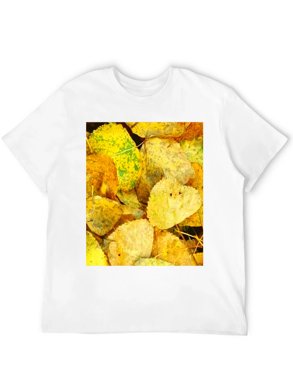 Autumn Leaves Graphic Tee - Nature Inspired Design product image 11