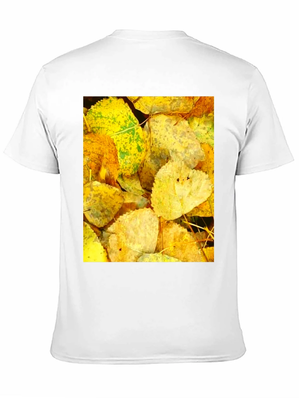 Autumn Leaves Graphic Tee - Nature Inspired Design product image 10