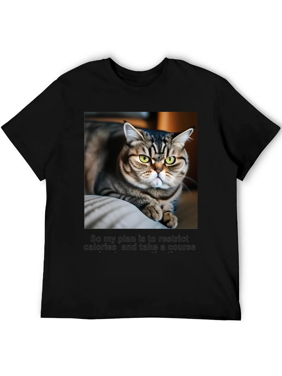 Funny Cat Graphic T-Shirt - Unisex Black Tee product image 4
